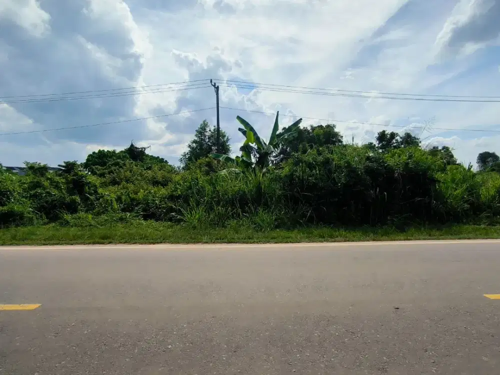 Dijual Cepat Lahan Strategis Jl.H.M Noerdin Pandji Jakabaring Palembang