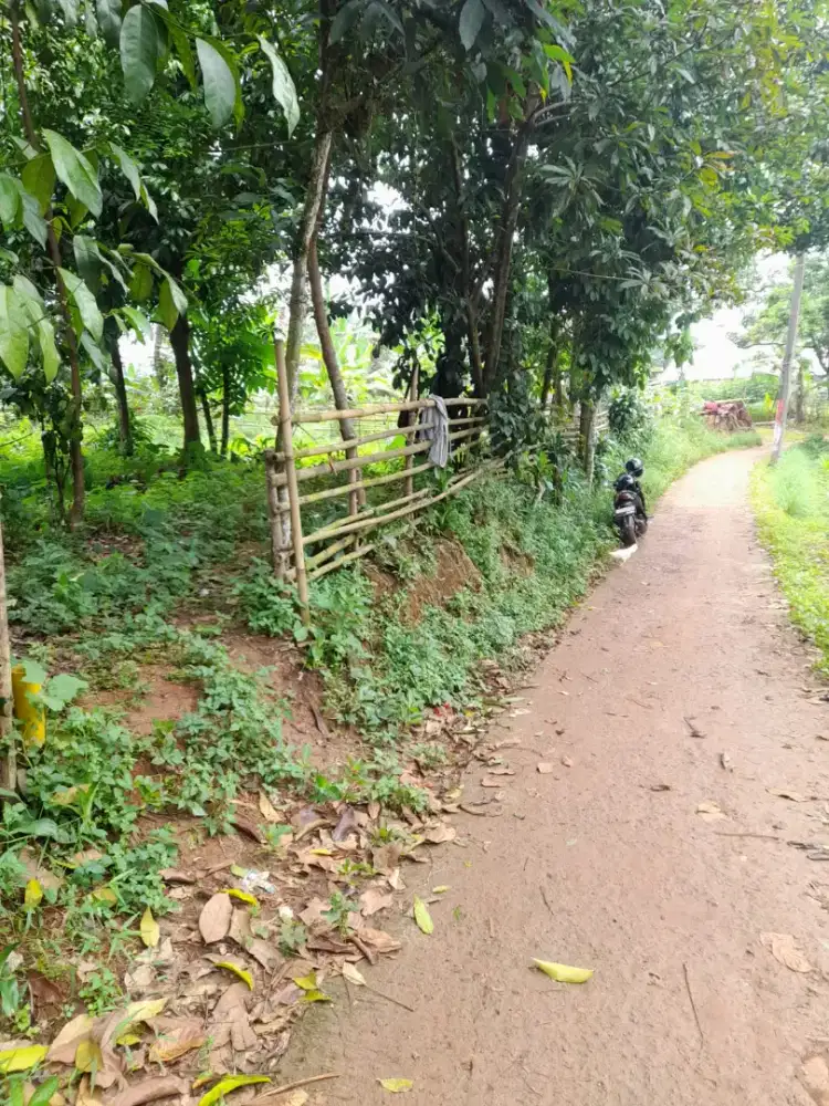 Di jual lhan tanah darat lt 586 mtr ss ajb pinggir jln