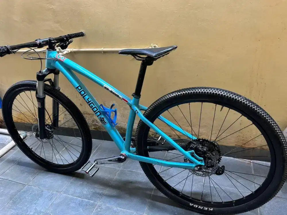 Sepeda Polygon 29R