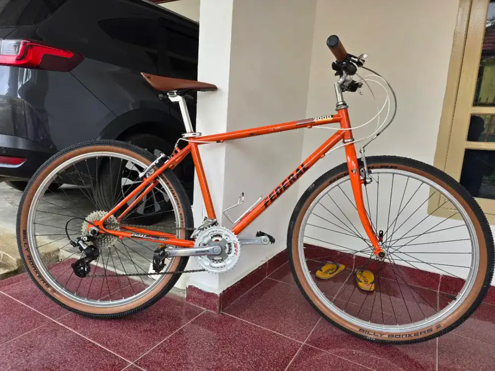 Sepeda Federal Size 17