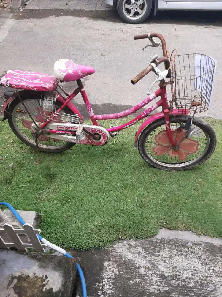 Sepeda anak merk GENIO