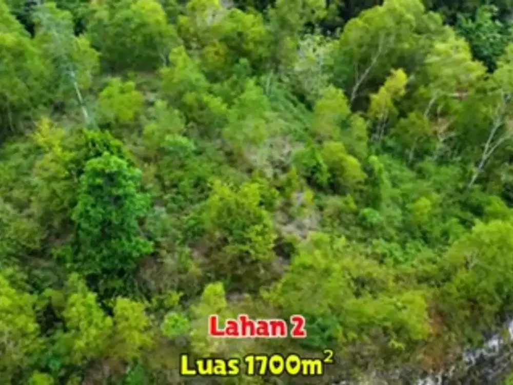 Murah, Tanah Dua Bidang Mangku JJLS