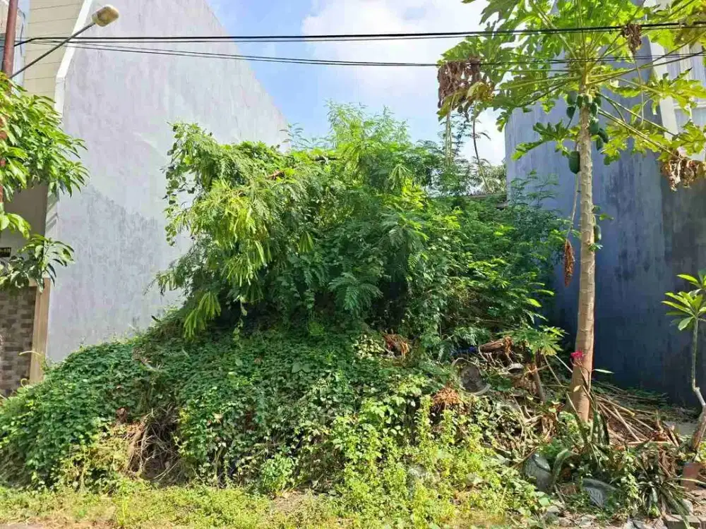 Sukolilo Surabaya | Langka Jual Tanah Kavling Siap Bangun 98 m² Perumahan Koala Regency Medokan Semampir Keputih Semolowaru ITS MERR