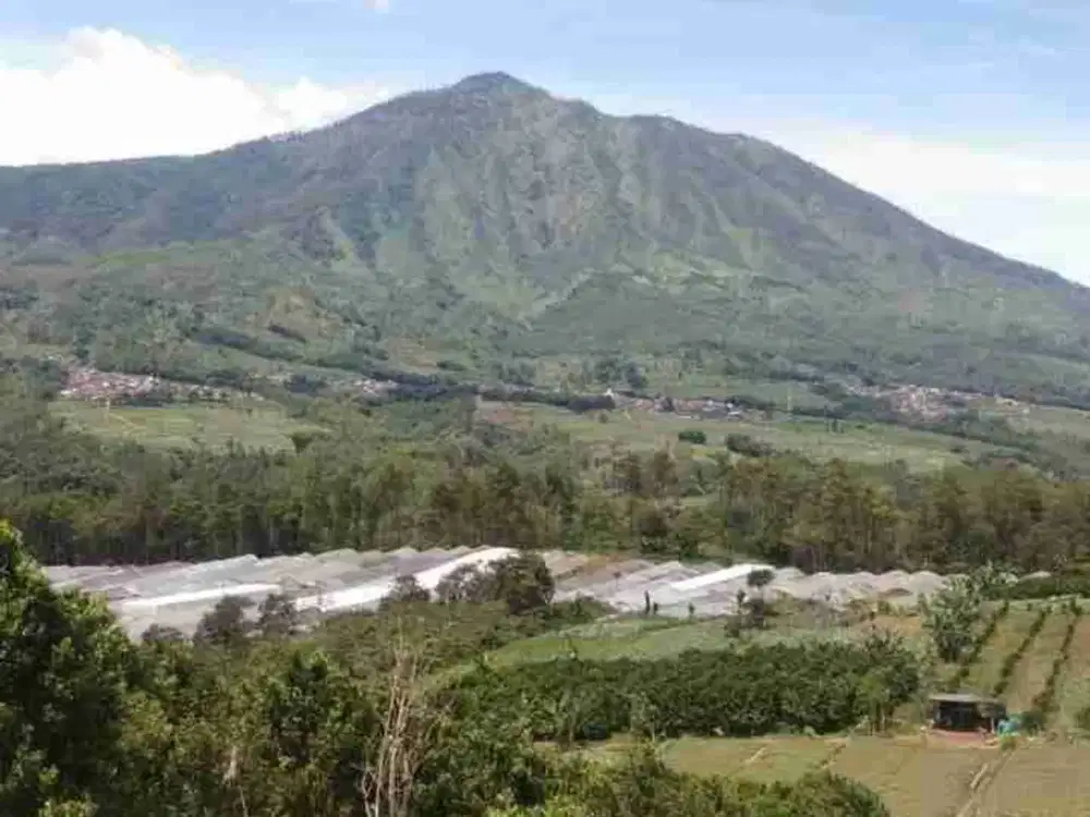Tanah Murah View Gunung Arjuno di Pujon Malang