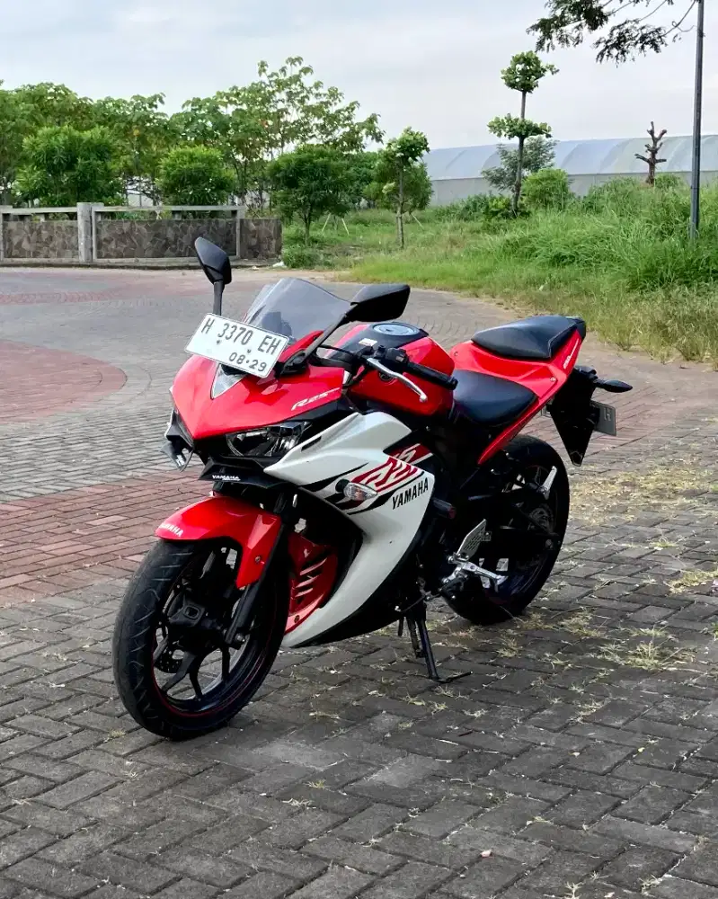 R25 FULL STANDARD MULUS