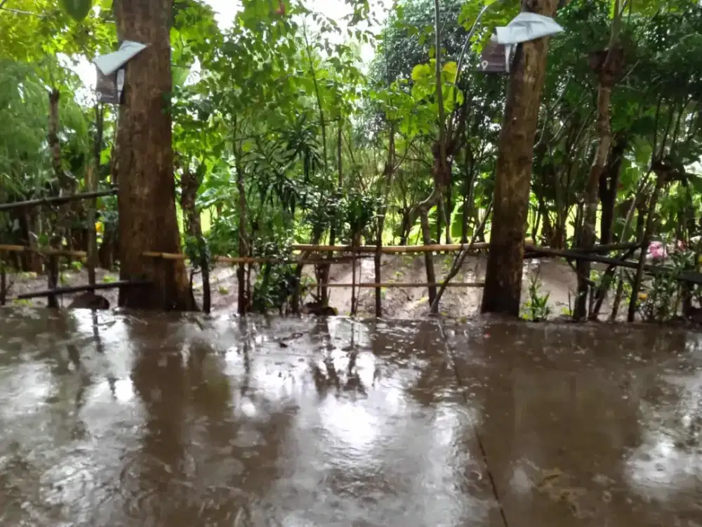 Dijual Cepat Tanah Pinggir Jalan Pengampelan Walantaka Serang