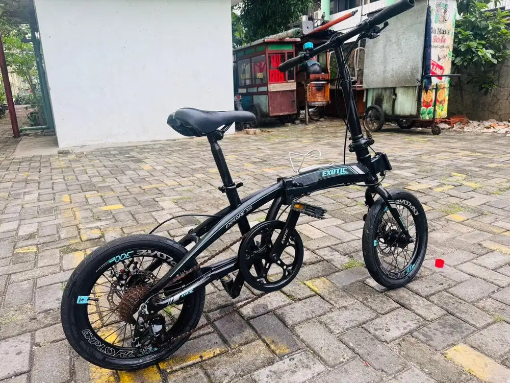 Sepeda exotic bekas
