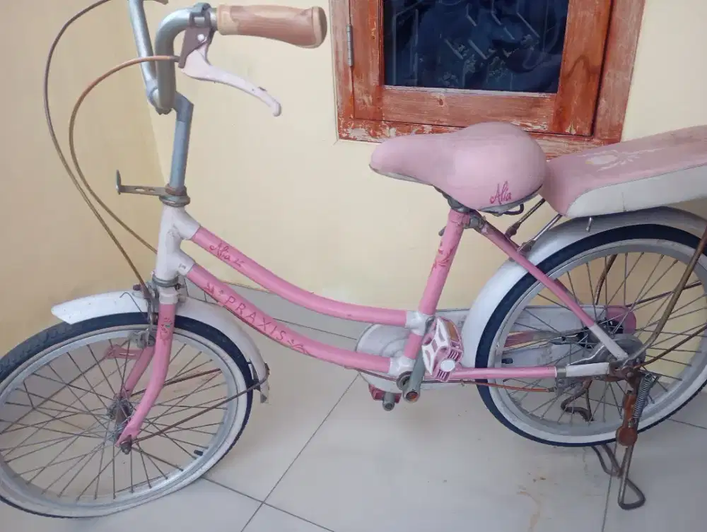 Sepeda bekas merk praxis cocok untuk belanja sayur