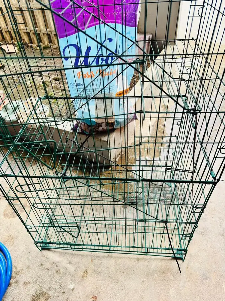 Kandang kucing 3 tingkat