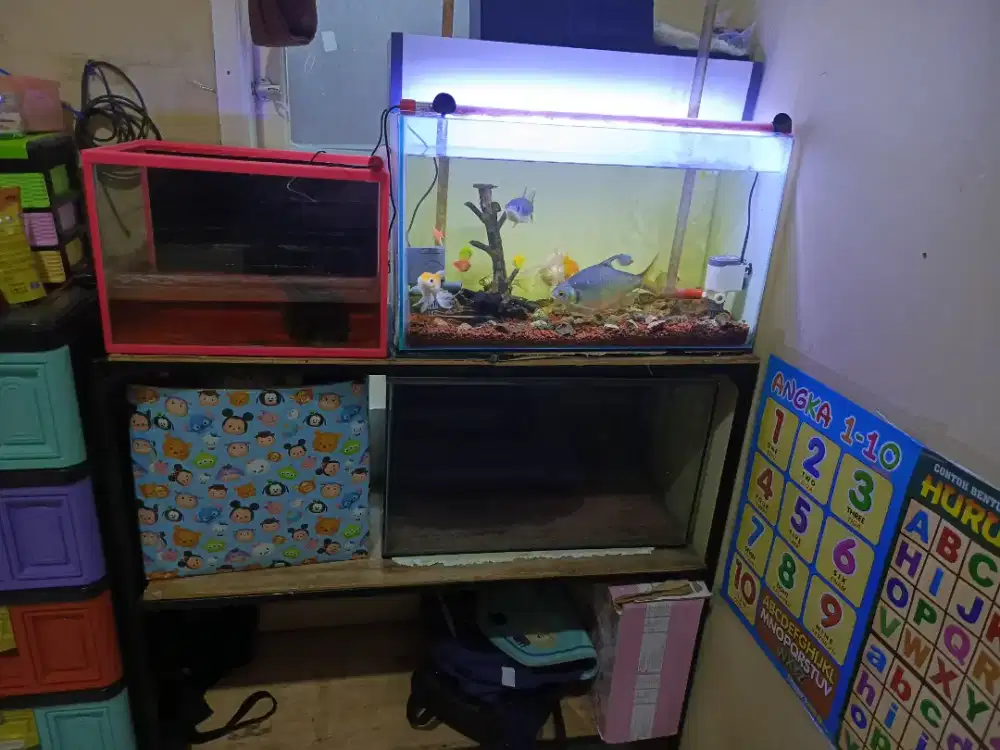 Aquarium ful set mukmer sekali
