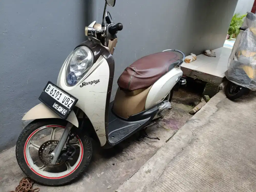 Honda scoopy 2010
