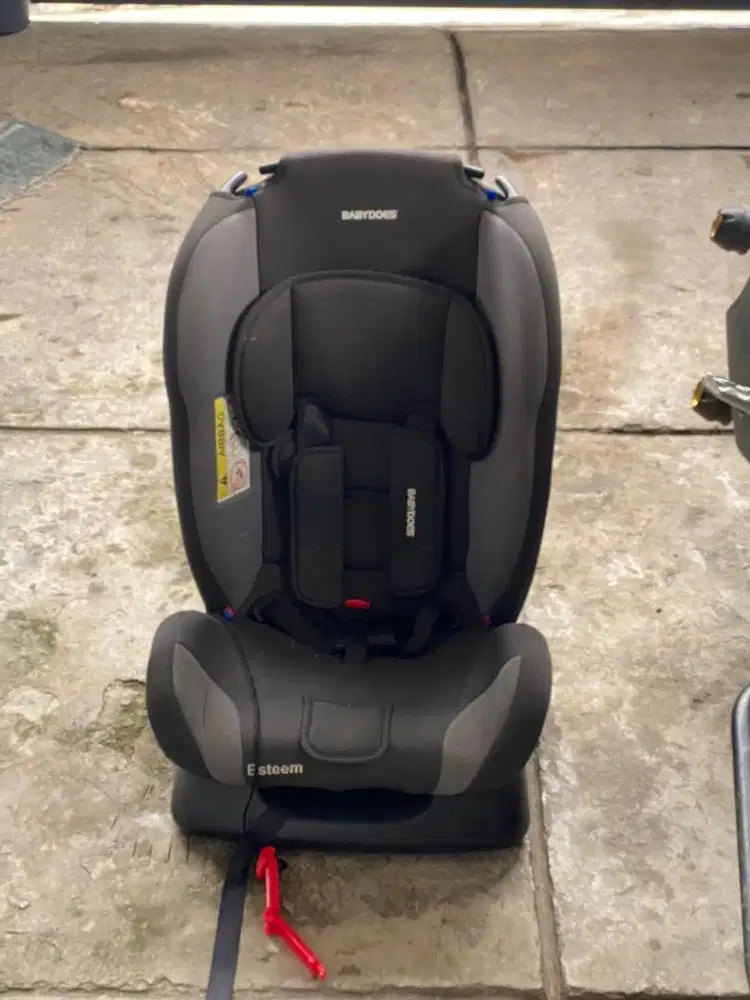 Babydoes carseat