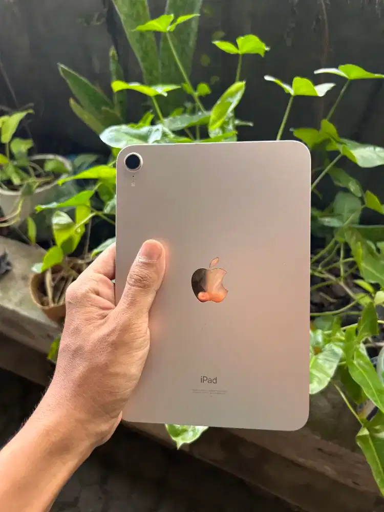 iPad Mini 6 iBox