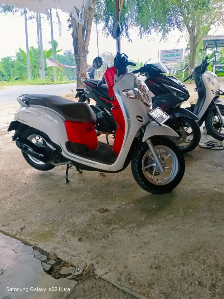Motor scoopy 2020
