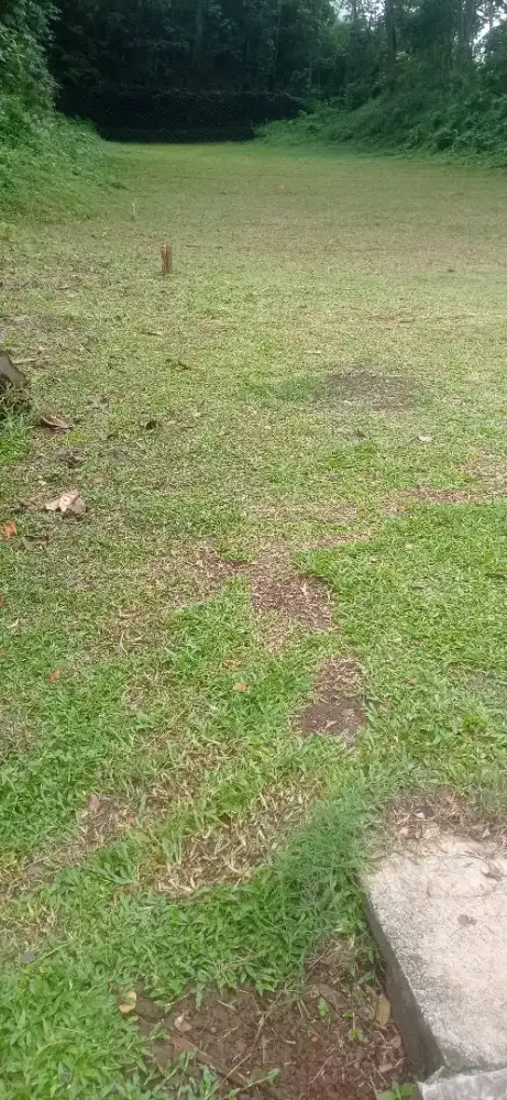 Jasa babat/potong rumput