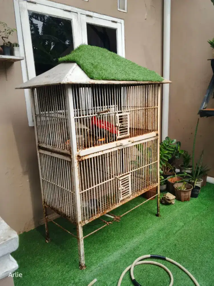 Kandang burung tingkat besi baja
