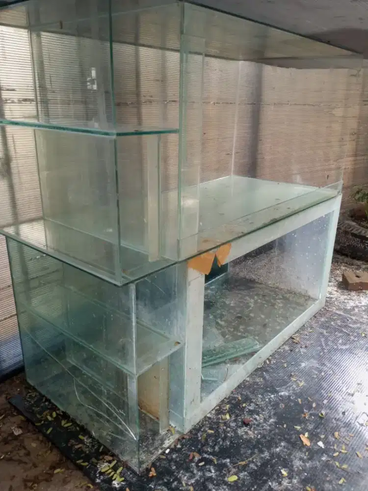 Aquarium besar ikan