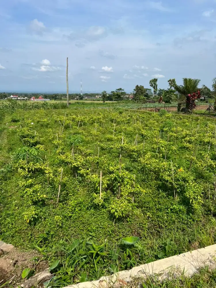 Tanah di jual lokasi strategis