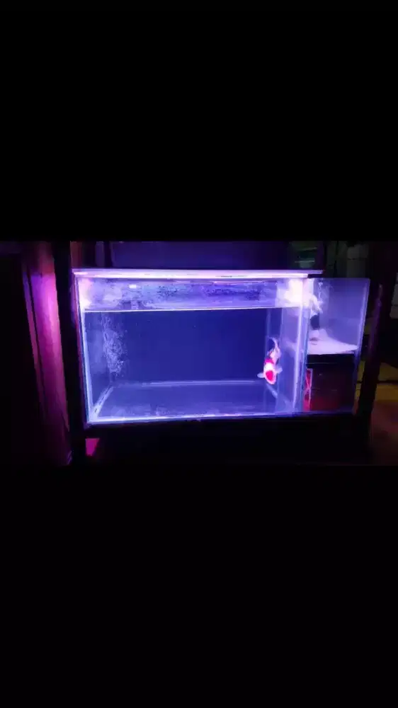 Aqurium Akuarium Filter Samping