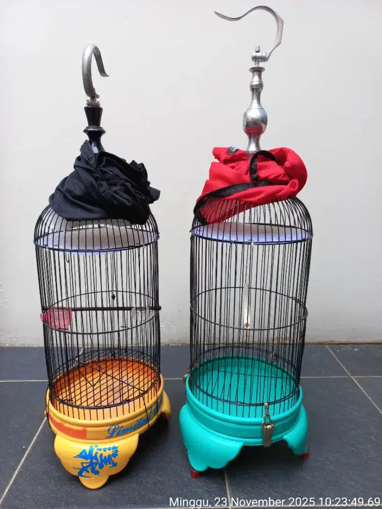 Sangkar burung heloped kandang burcil