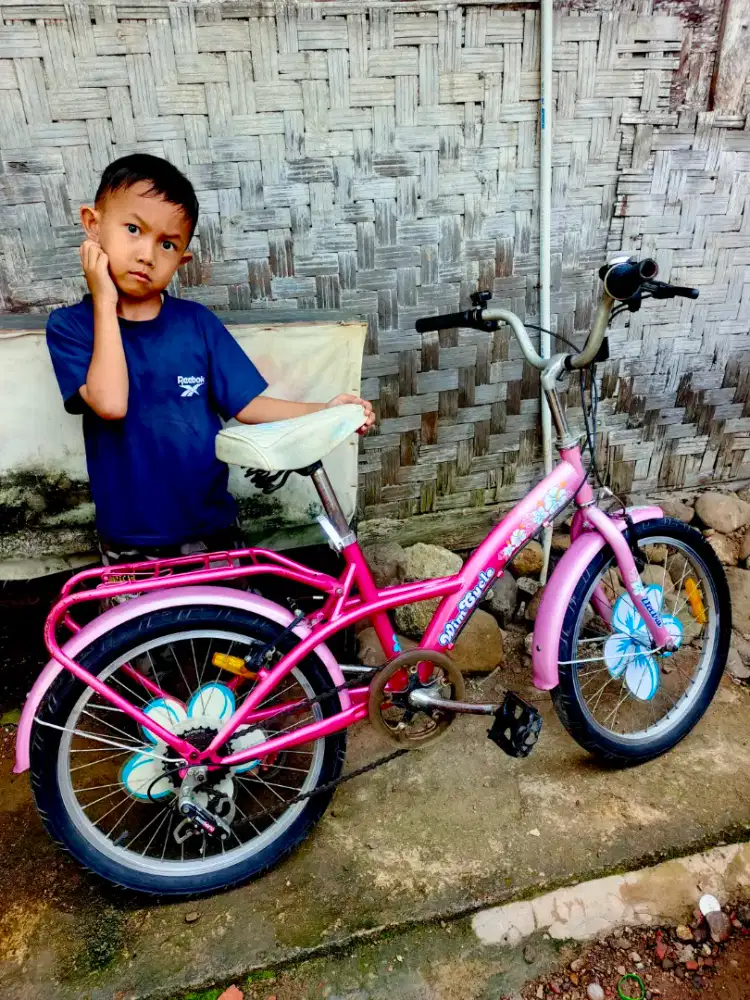 Sepeda anak Wimcycle uk. 18