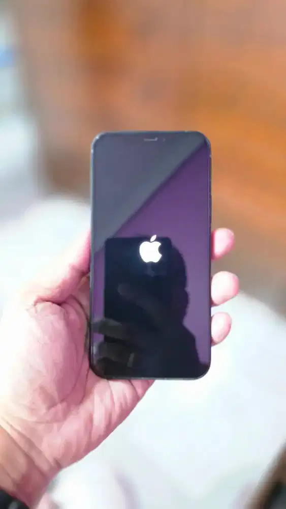 Jual Iphone 12 mini 128GB ibox