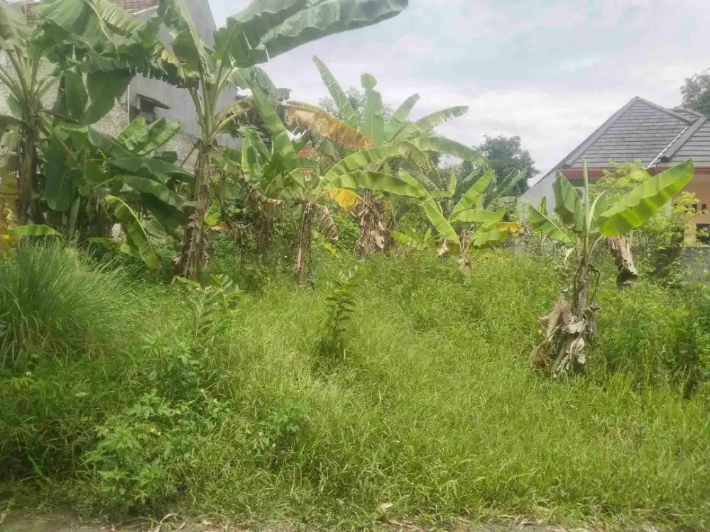 Dijual Lahan 283 meter Lokasi Kutruk Kabupaten TNG