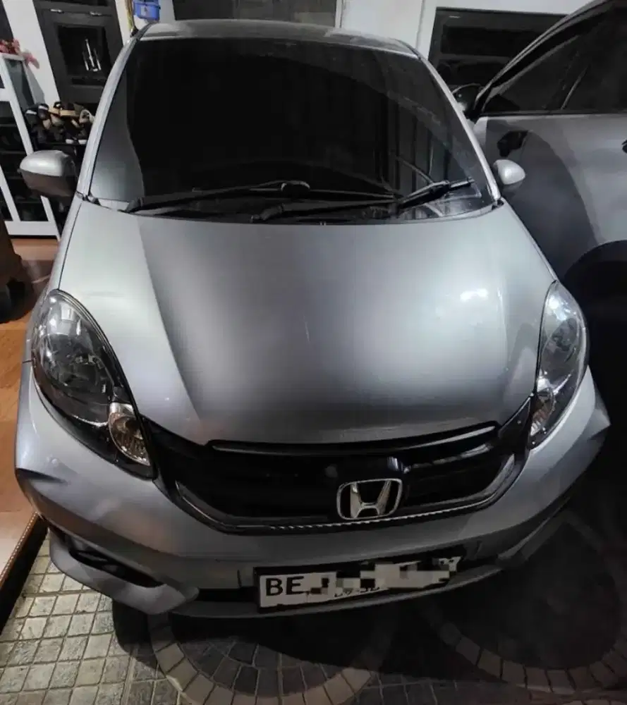 Brio satya E manual 2018