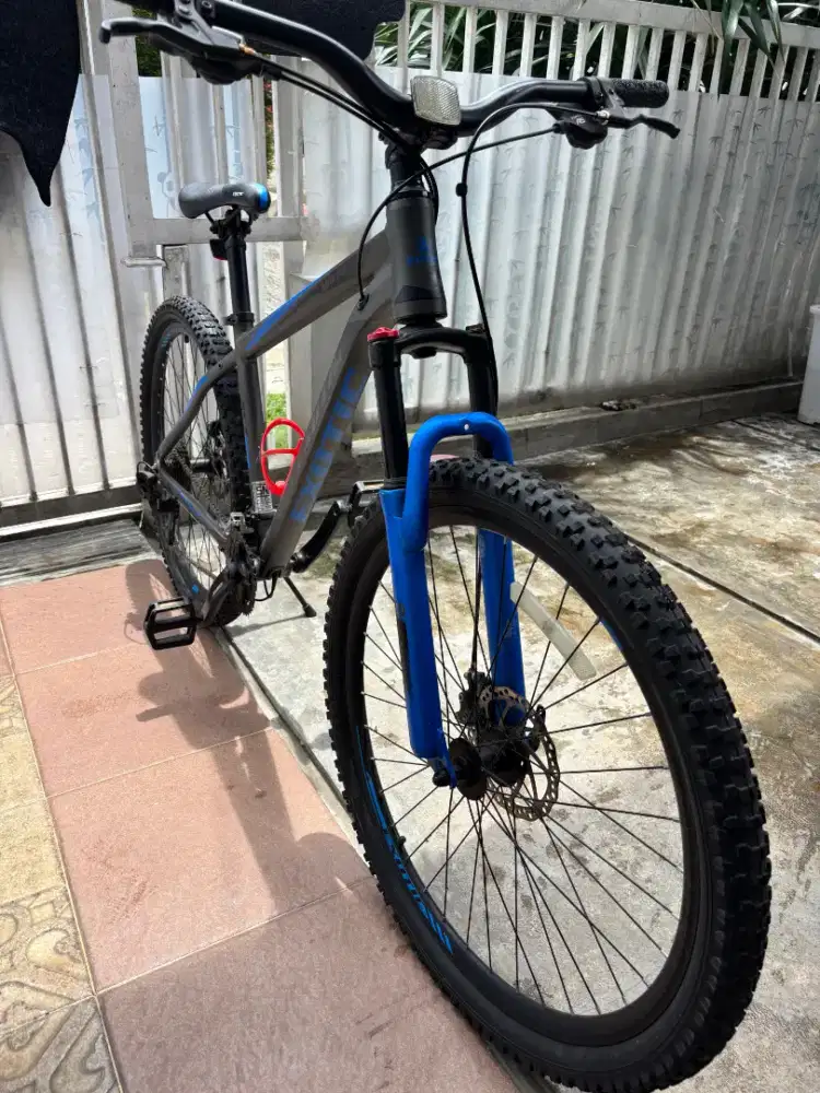 Pacific Exotic Mountain Bike size 27