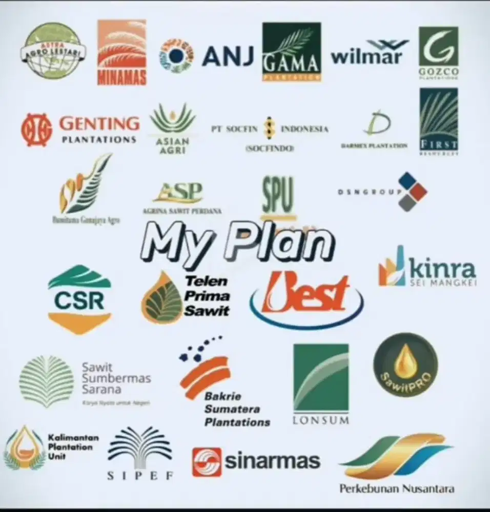 perawatan dan panen perkebunan sawit