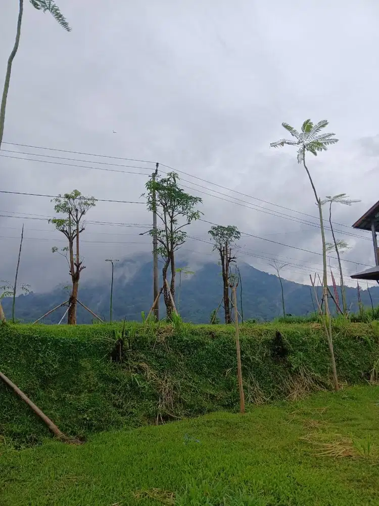 By Owner! Lahan 1,5 Ha SHM View Danau Tamblingan – Siap Bangun