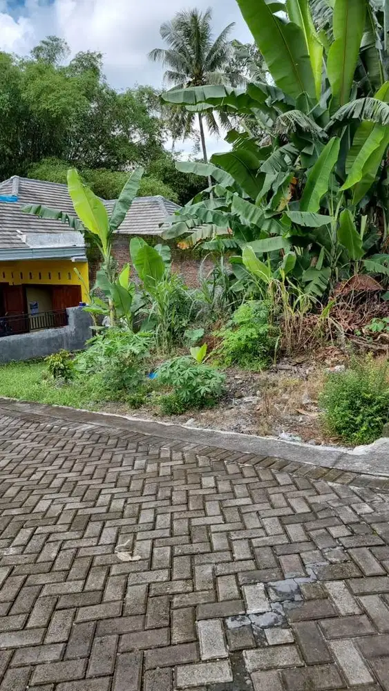 Dijual tanah STRATEGIS dekat kampus UII Jakal km 9,5 Gentan,sinduharjo