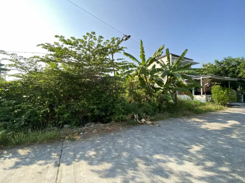 Tanah di tlogomulyo pedurungan dekat perumahan BPD III