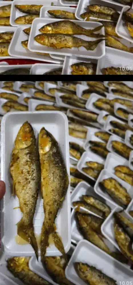 Open order bandeng presto enak murah satu kotak isi 2