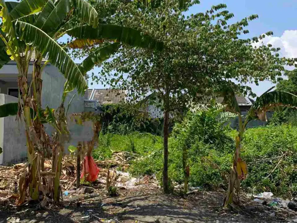 Tanah Murah Siap Bangun di Medayu utara