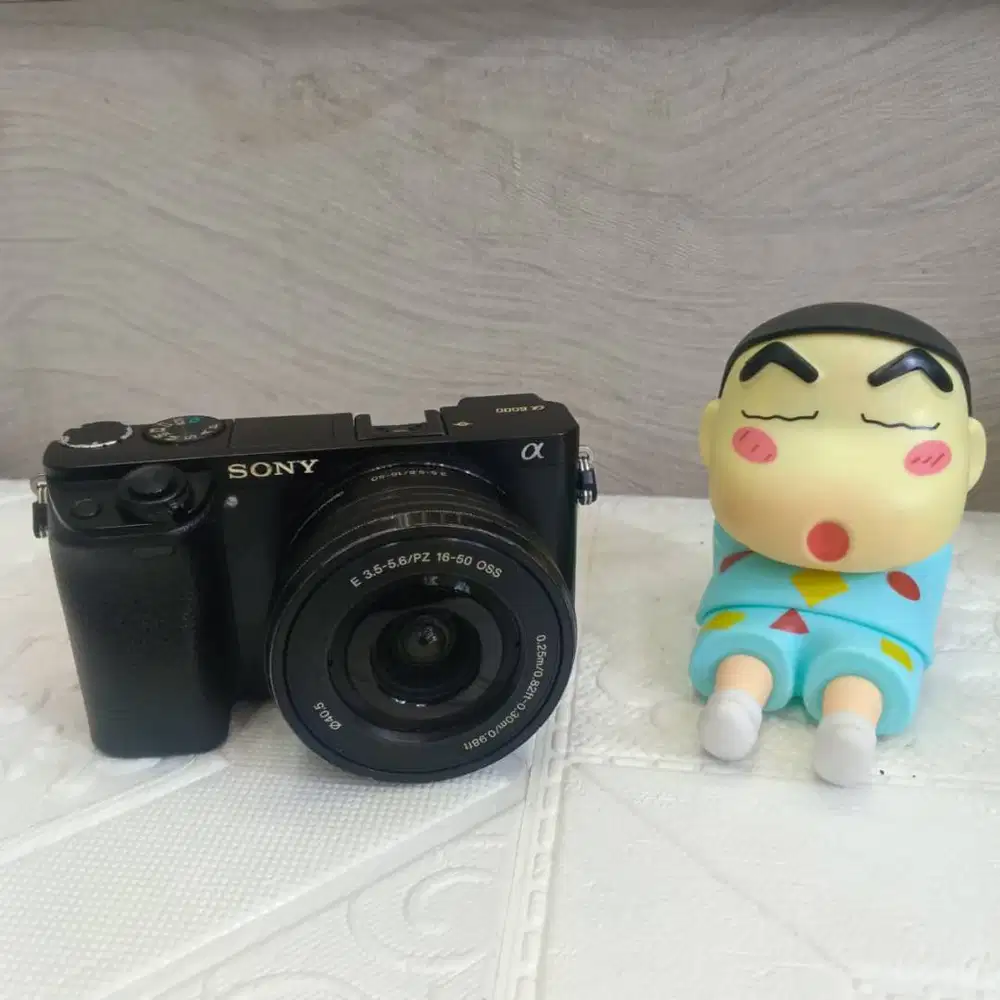 Kamera Mirrorless Sony A6000