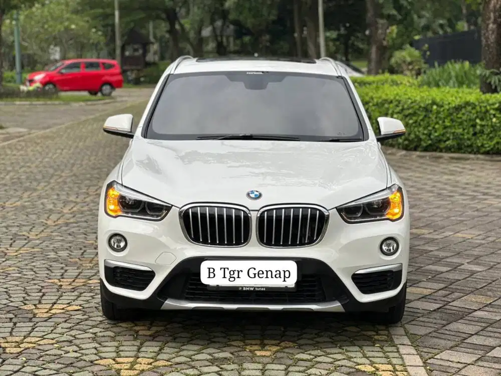 BMW X1 XLine 2019