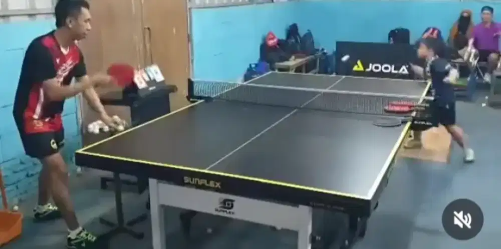 Meja pingpong SunFlex