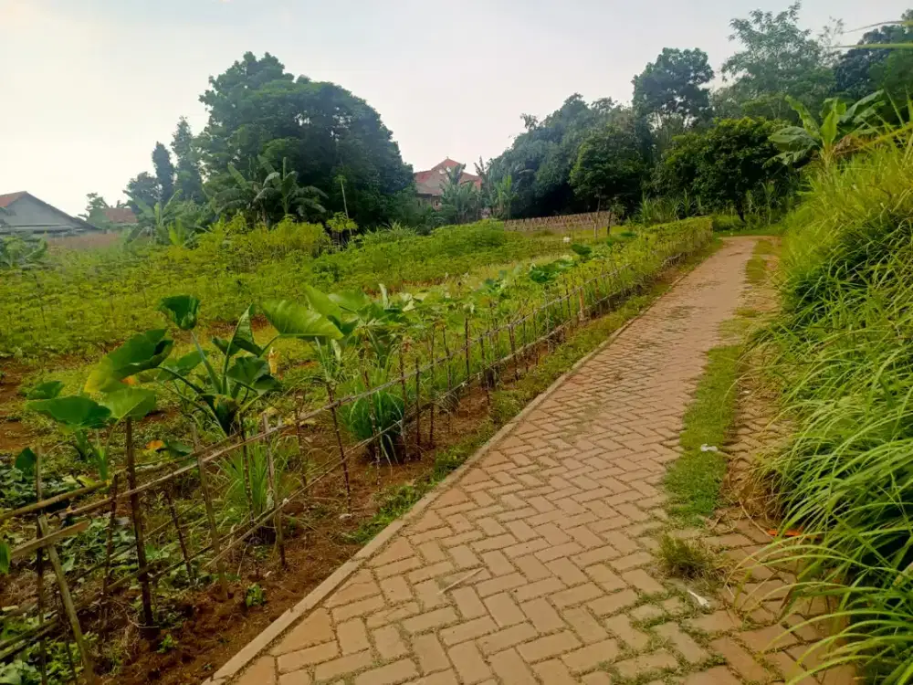 Tanah kavling Dekat Stasiun Parung Panjang , terima SHM Pecah Unit