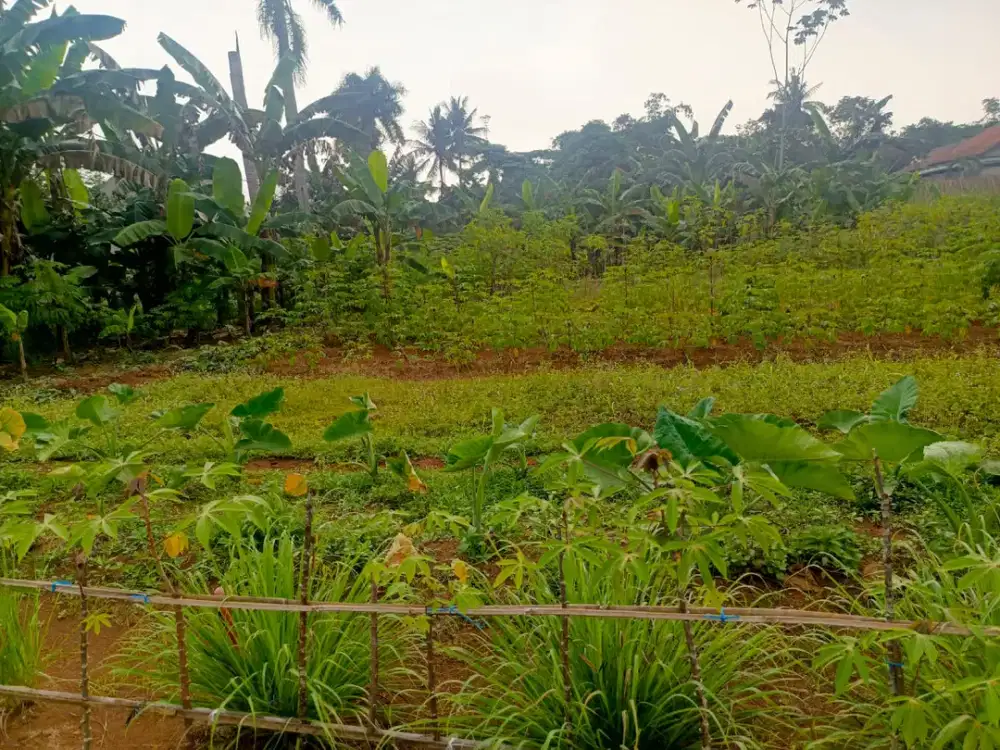 Tanah kavling Pagedangan , Lokasi Asri dan Bebas Banjir
