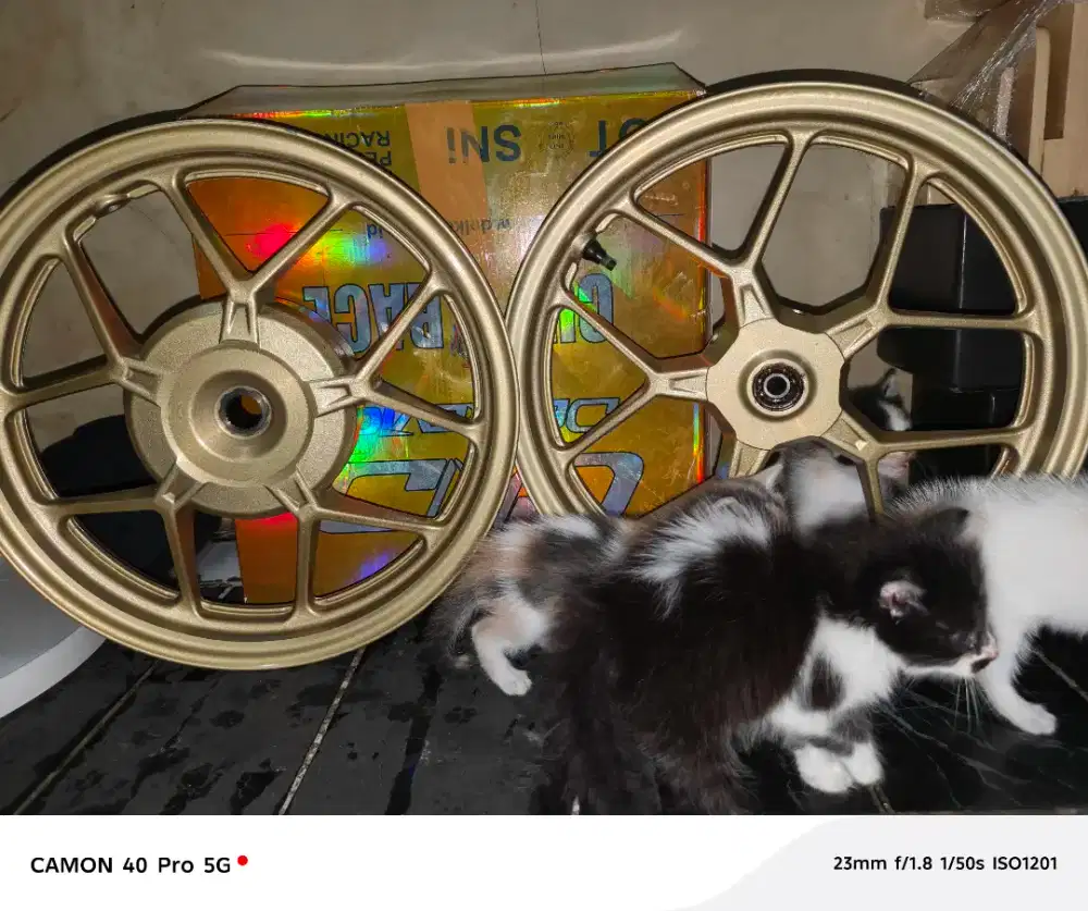 VELG VARIO 125 LED OLD 2022