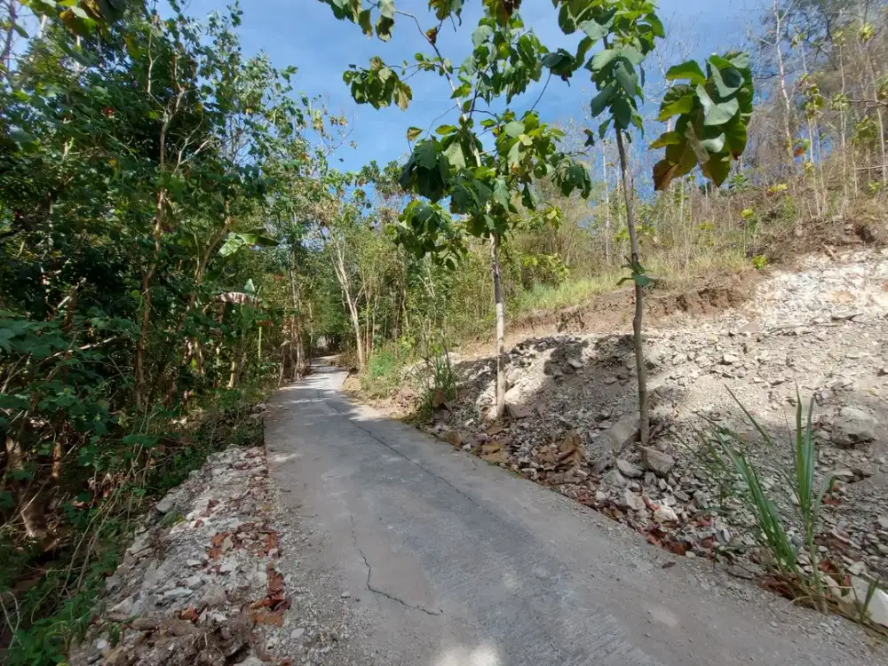Tanah SHM Bantul 100 jutaan Cocok untuk hunian Keluarga Muda