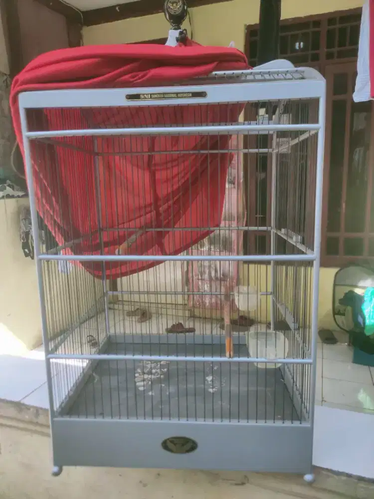 Forsale kandang SNI no.1