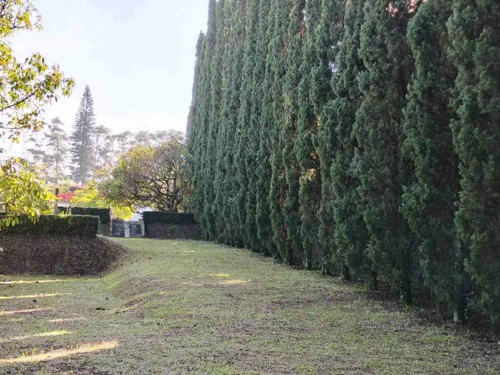 jual tanah murah jauh  dibawah njop setiabudi bandung