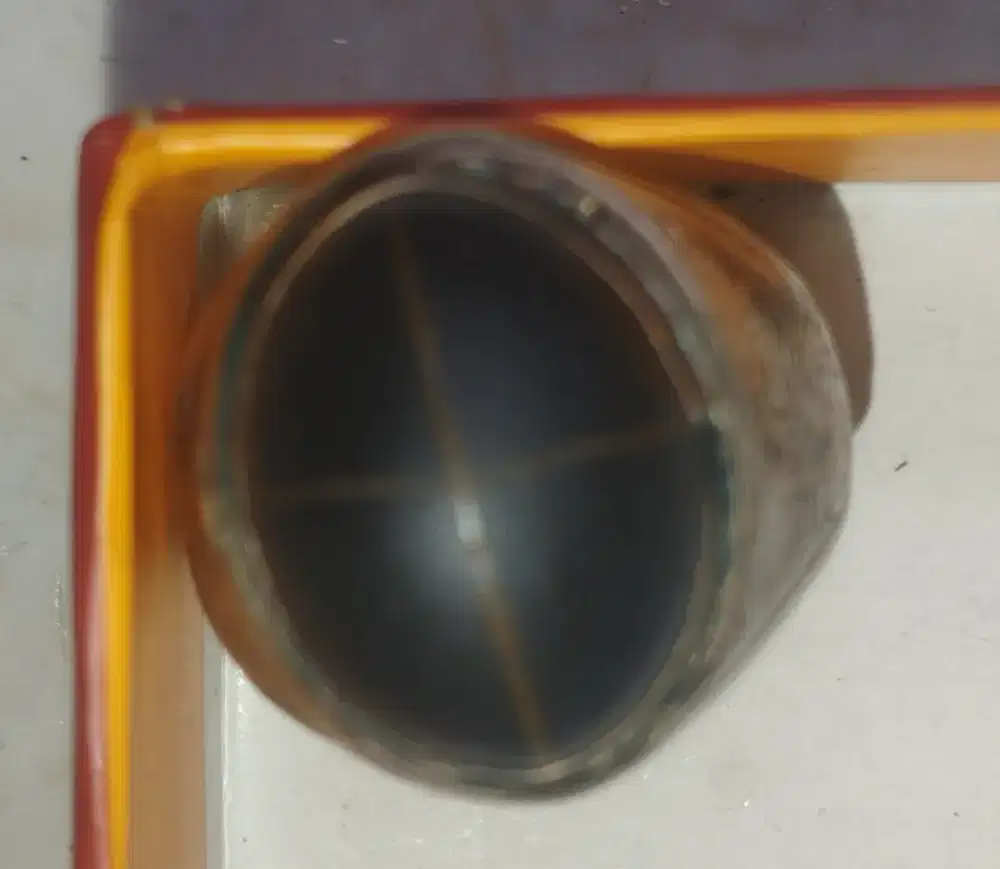 Tapak Jalak Tali Emasa