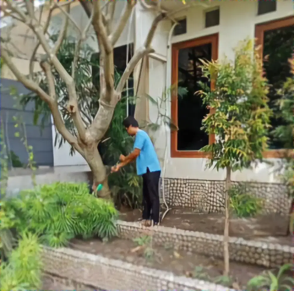 Jasa cleaning service