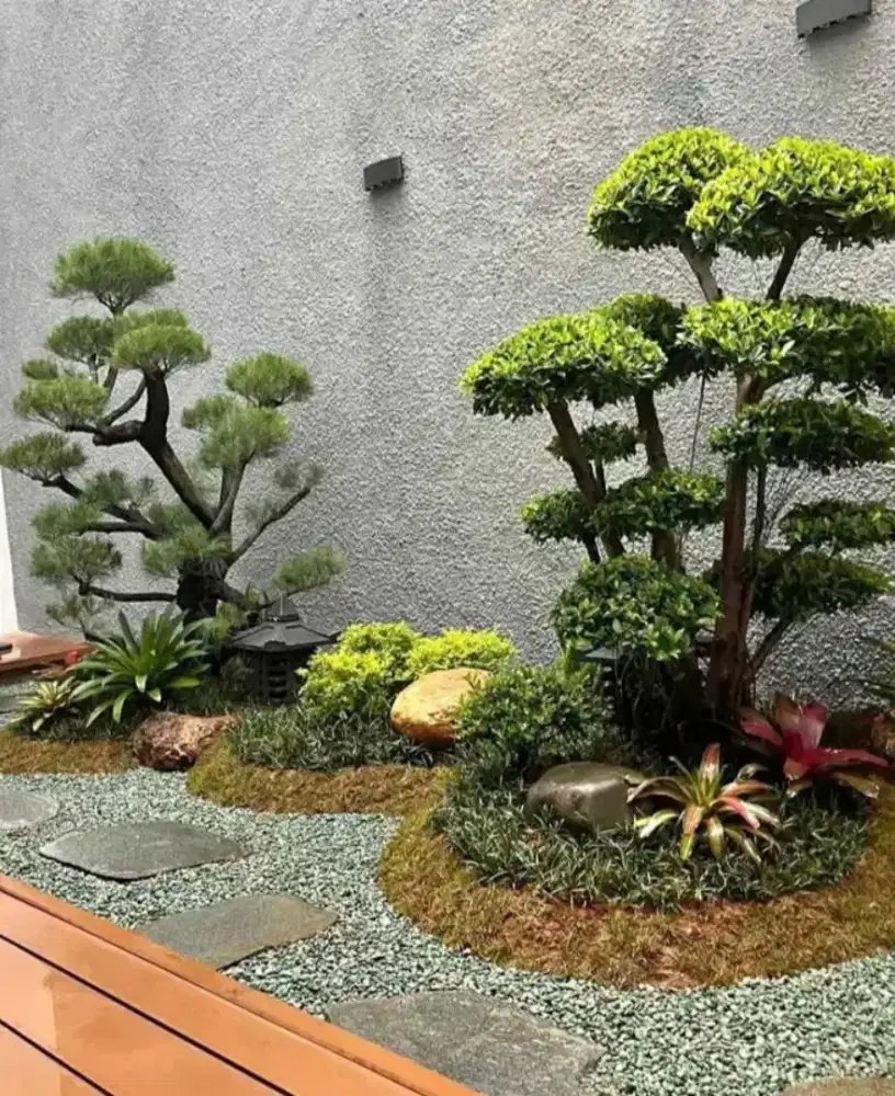 Spesialis pembuat Taman dan kolam ikan koi