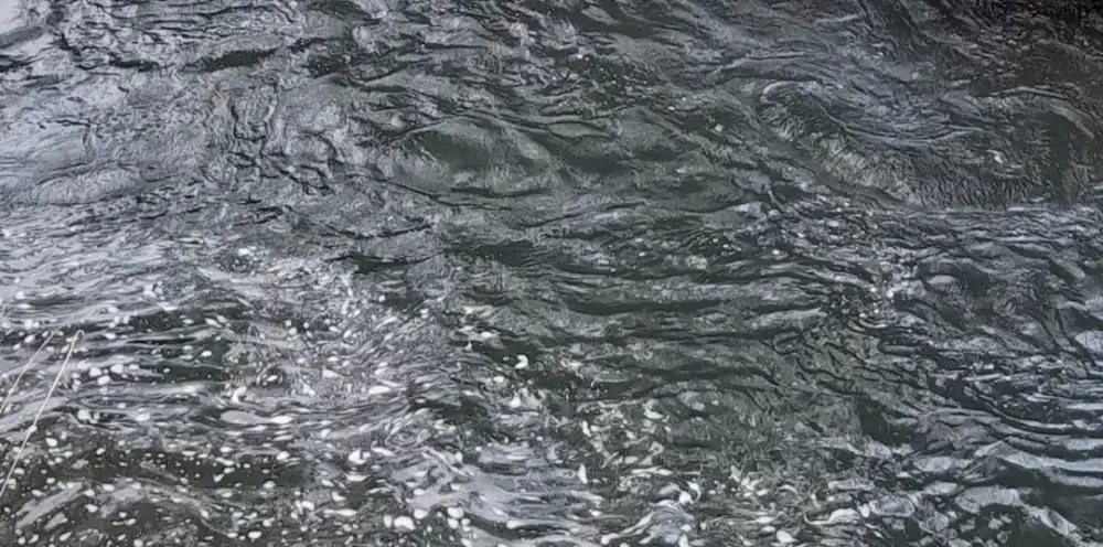 CARI KERJA APA SAJAH