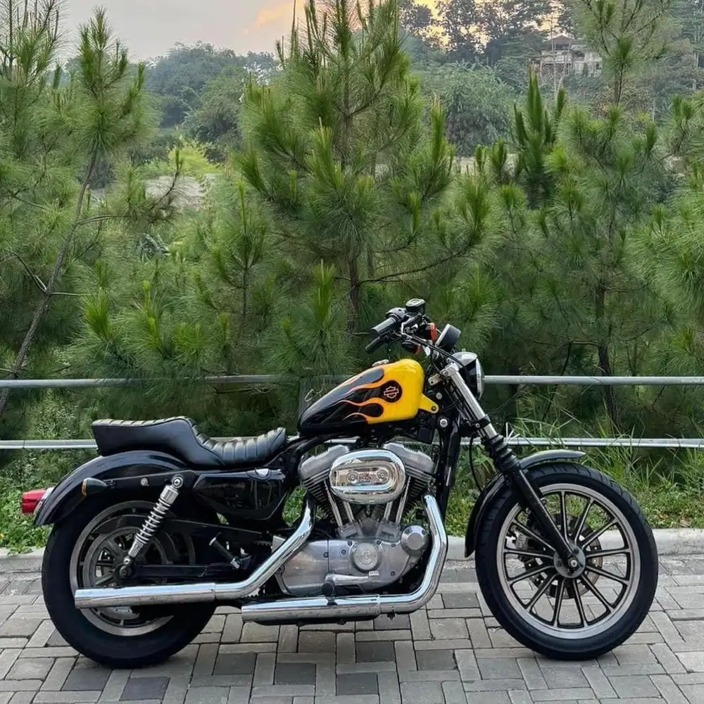 Harley Davidson Sportster883