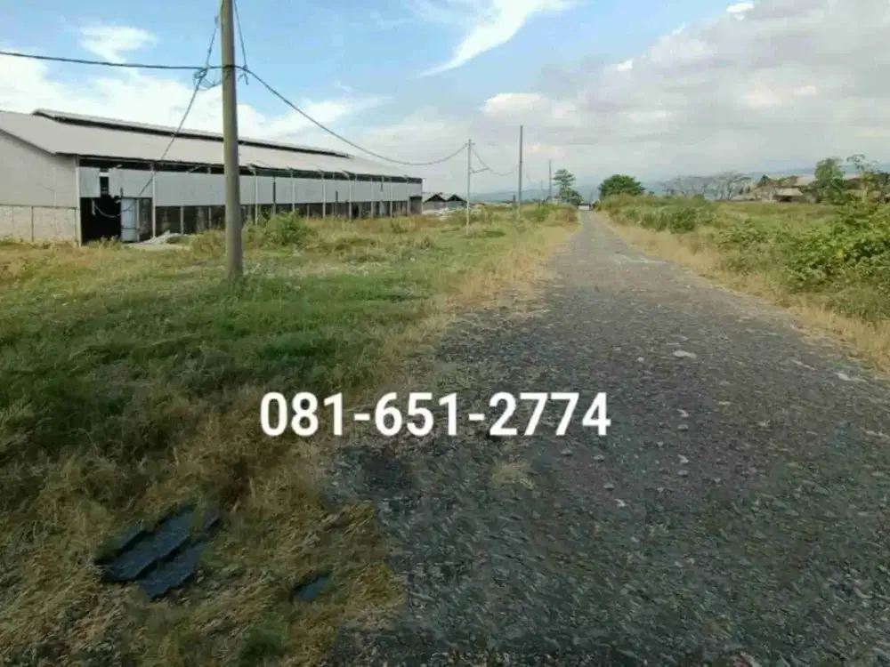 Pabrik Gudang di Purwosari